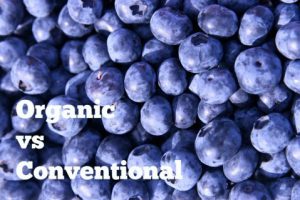 organic versus conventional
