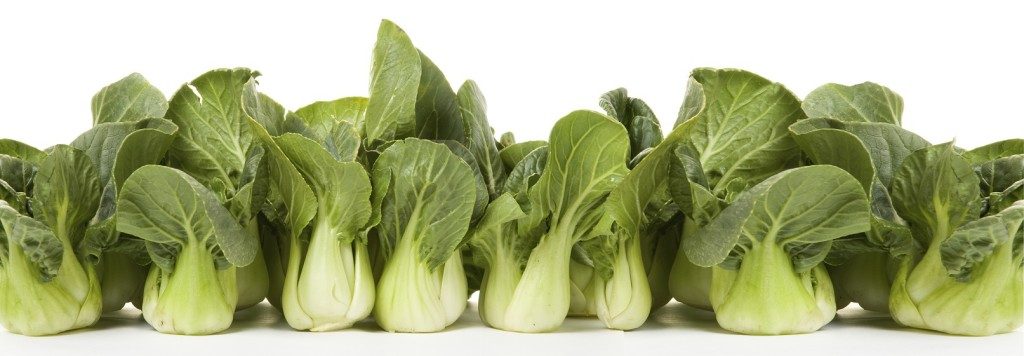 bokchoy line-up