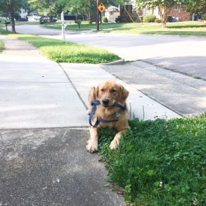 madi-boone-walking