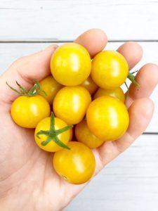 small yellow tomatoes