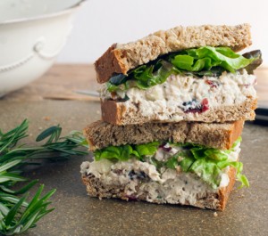 chicken-salad-with-cranberries-300x265