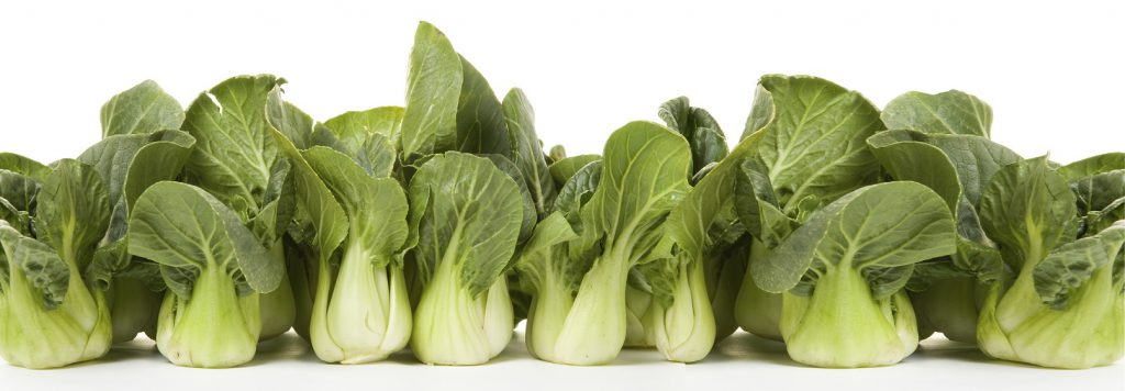 bok choy