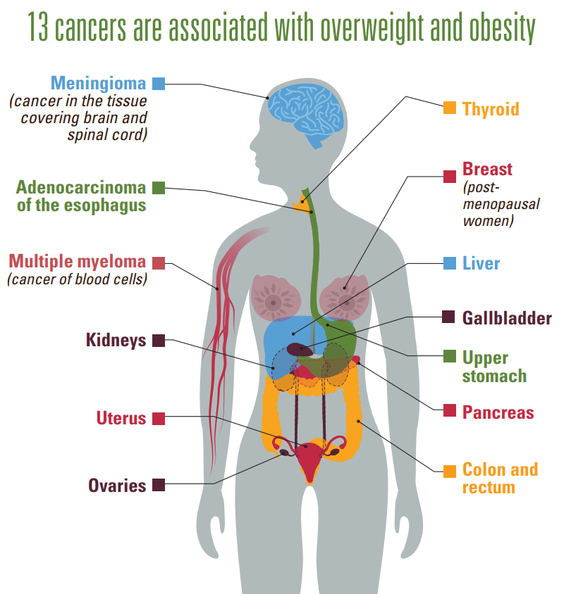 cancer and obesity chart