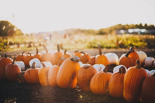 healthy pumpkin