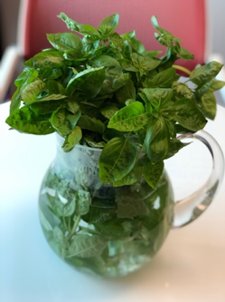 5 ways to use fresh basil