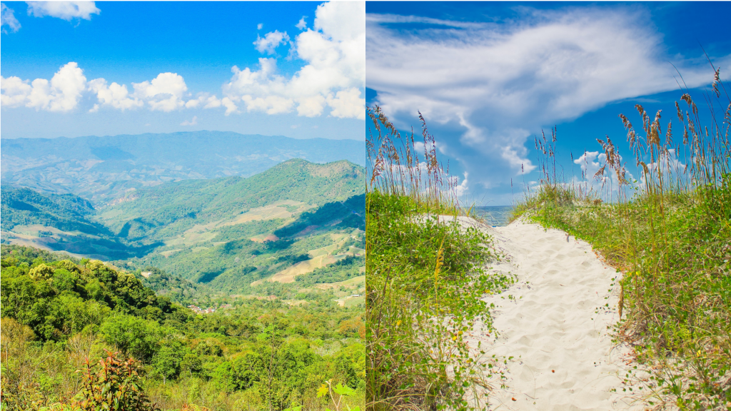 The left side of the pictures shows a sunny NC mountain landscape and the right side shows a sunny dune beach path