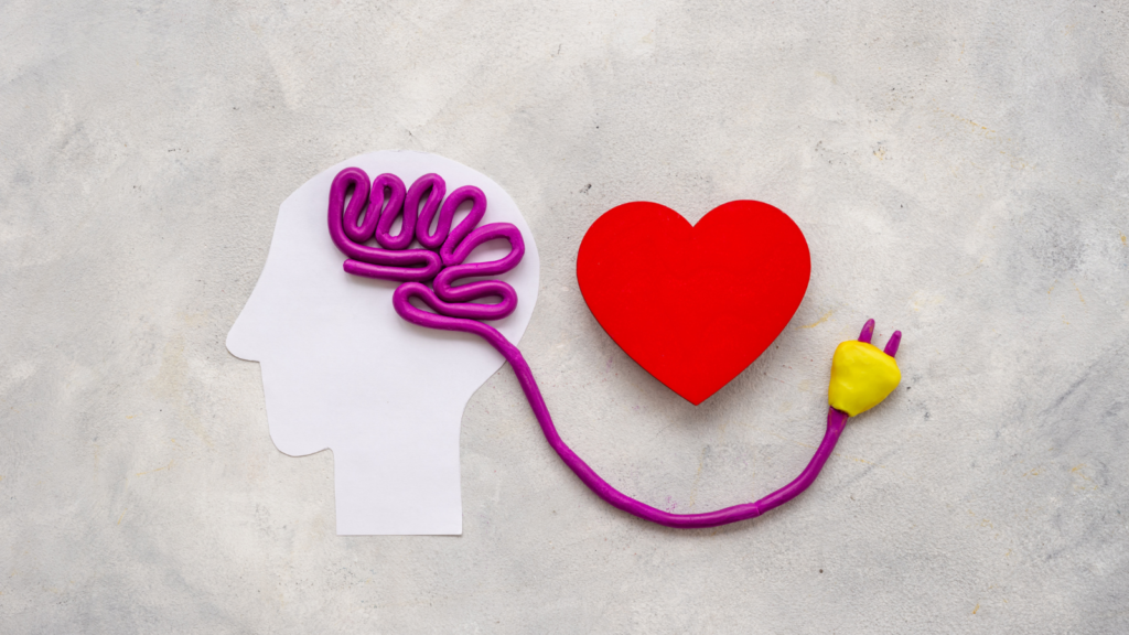 A heart and a brain connected by a wire, symbolizing the connection between emotions and thoughts.